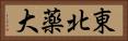 東北薬大 Horizontal Portrait