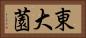 東大薗 Horizontal Portrait