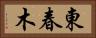 東春木 Horizontal Portrait