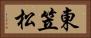 東笠松 Horizontal Portrait