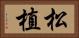 松植 Horizontal Portrait