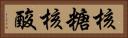 核糖核酸 Horizontal Portrait