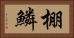 棚鱗 Horizontal Portrait