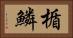 楯鱗 Horizontal Portrait