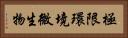 極限環境微生物 Horizontal Portrait