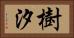 樹汐 Horizontal Portrait