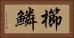 櫛鱗 Horizontal Portrait