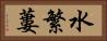 水繁蔞 Horizontal Portrait