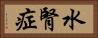 水腎症 Horizontal Portrait