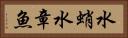 水蛸 Horizontal Portrait