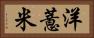 洋薏米 Horizontal Portrait