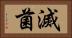 滅菌 Horizontal Portrait