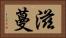 滋蔓 Horizontal Portrait