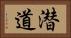 潜道 Horizontal Portrait