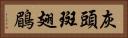 灰頭斑翅鶥 Horizontal Portrait