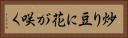炒り豆に花が咲く Horizontal Portrait