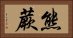 熊蕨 Horizontal Portrait