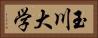 玉川大学 Horizontal Portrait