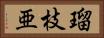 瑠枝亜 Horizontal Portrait
