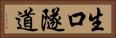 生口隧道 Horizontal Portrait