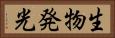 生物発光 Horizontal Portrait
