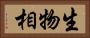 生物相 Horizontal Portrait