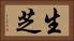 生芝 Horizontal Portrait