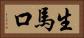 生馬口 Horizontal Portrait