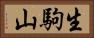 生駒山 Horizontal Portrait