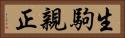 生駒親正 Horizontal Portrait