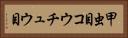 甲虫目 Horizontal Portrait