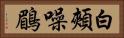 白頰噪鶥 Horizontal Portrait
