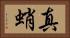 真蛸 Horizontal Portrait