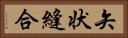 矢状縫合 Horizontal Portrait