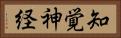 知覚神経 Horizontal Portrait