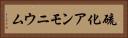 硫化アンモニウム Horizontal Portrait