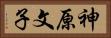 神原文子 Horizontal Portrait