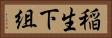 稲生下組 Horizontal Portrait