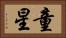 童星 Horizontal Portrait