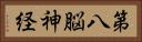 第八脳神経 Horizontal Portrait
