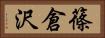 篠倉沢 Horizontal Portrait