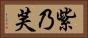 紫乃芙 Horizontal Portrait