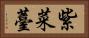 紫菜薹 Horizontal Portrait
