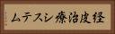 経皮治療システム Horizontal Portrait