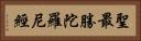聖最勝陀羅尼經 Horizontal Portrait