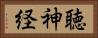 聴神経 Horizontal Portrait