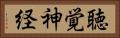 聴覚神経 Horizontal Portrait