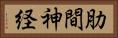 肋間神経 Horizontal Portrait