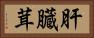 肝臓茸 Horizontal Portrait