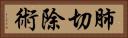 肺切除術 Horizontal Portrait
